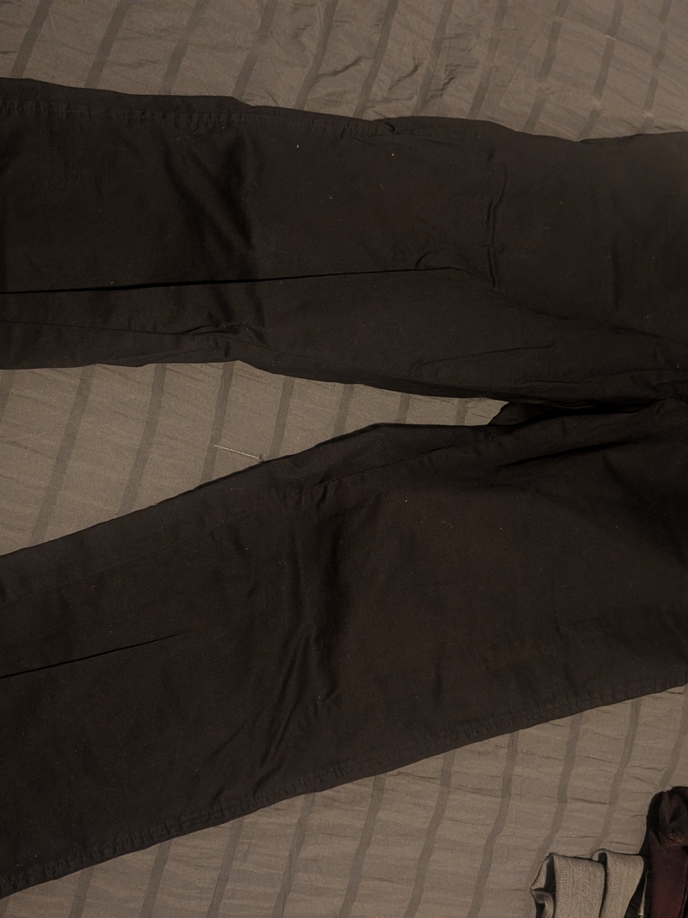 Daisy Fuentes Women's Dark Brown Casual Pants - Straight Leg